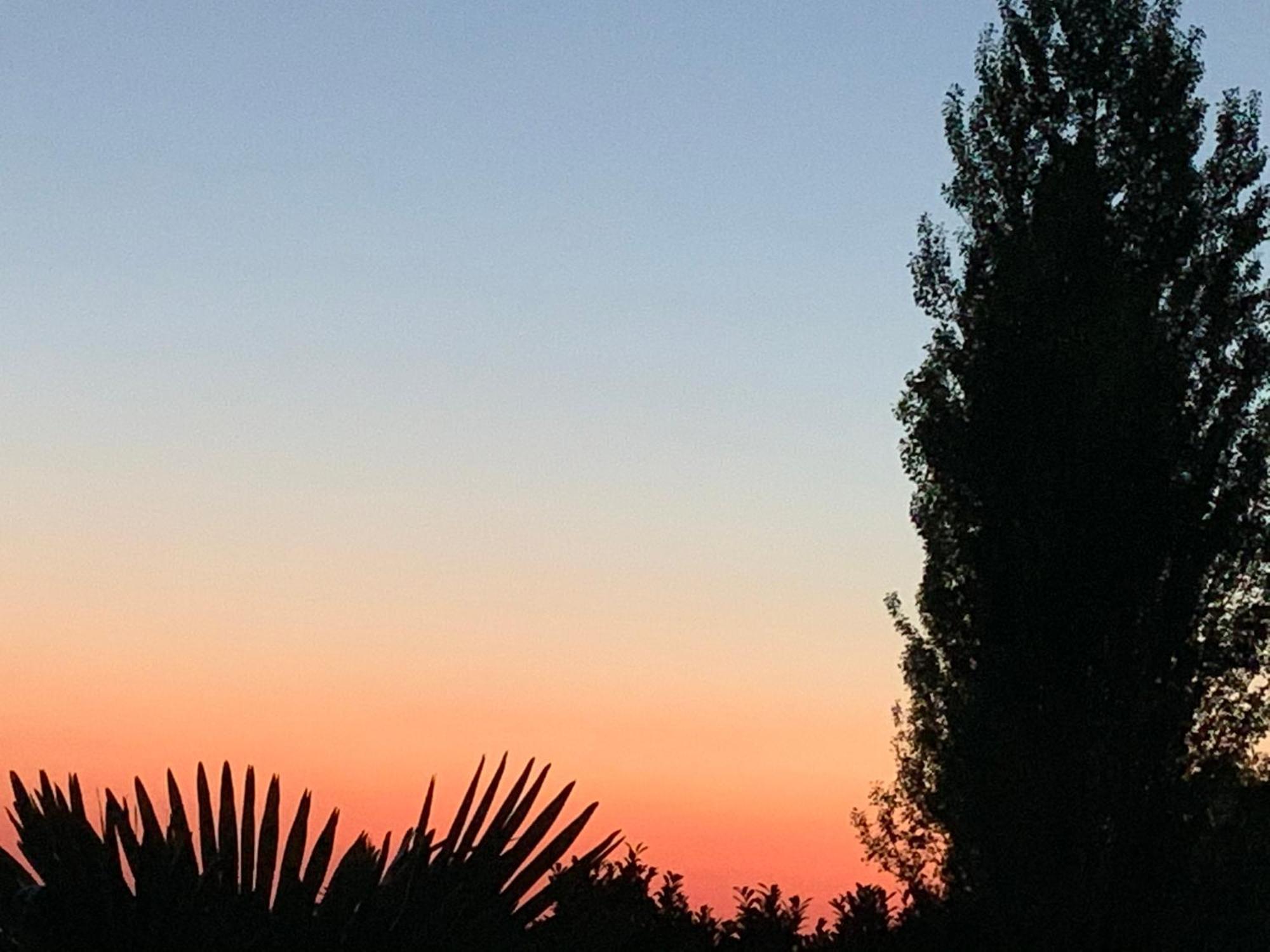 Gite Les Combes Terrasse 01340 Etrez Bresse Vallons Zewnętrze zdjęcie