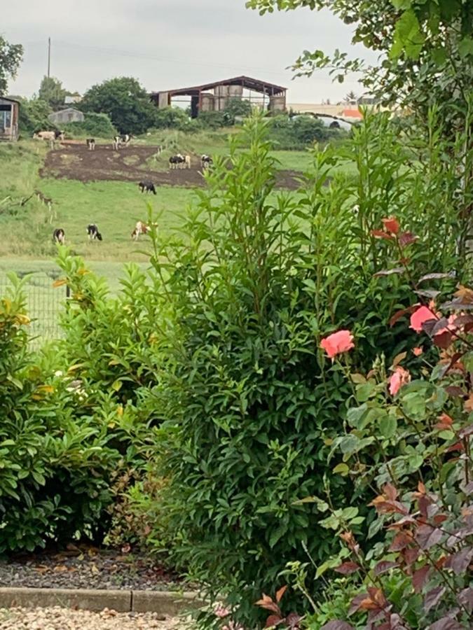 Gite Les Combes Terrasse 01340 Etrez Bresse Vallons Zewnętrze zdjęcie